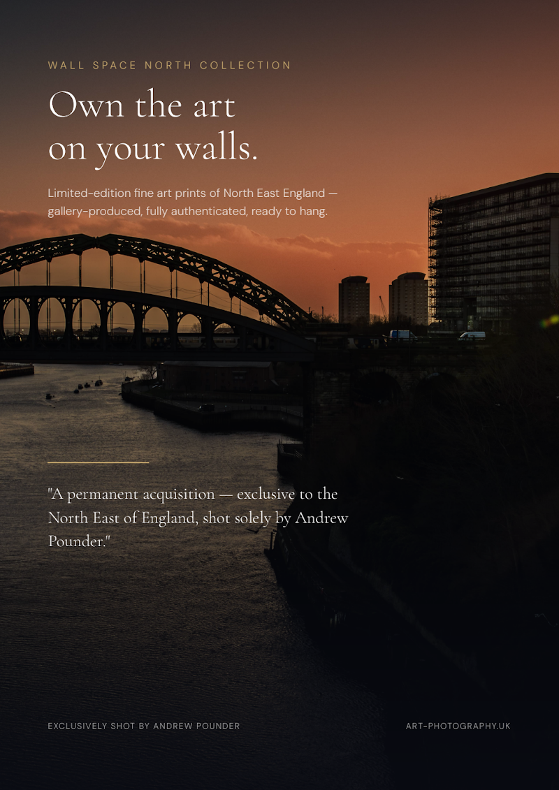 Wall Space North Limited Edition Prints brochure cover