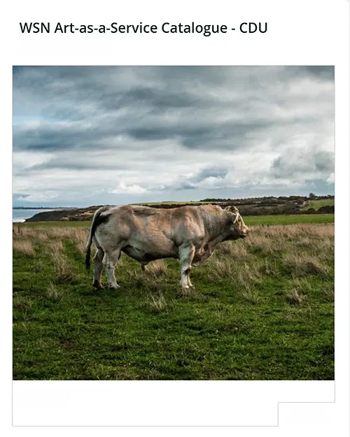 County Durham fine art photography book cover - Wall Space North